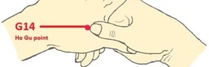 G14 He Gu Point