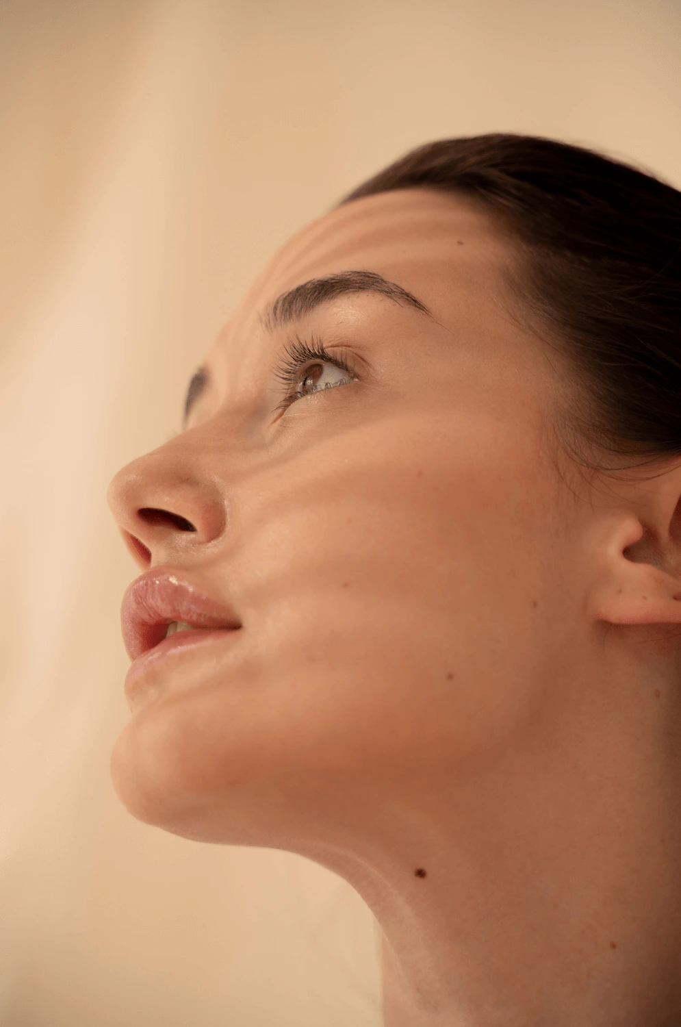 Une femme regardant vers le soleil Une femme regardant vers le soleil