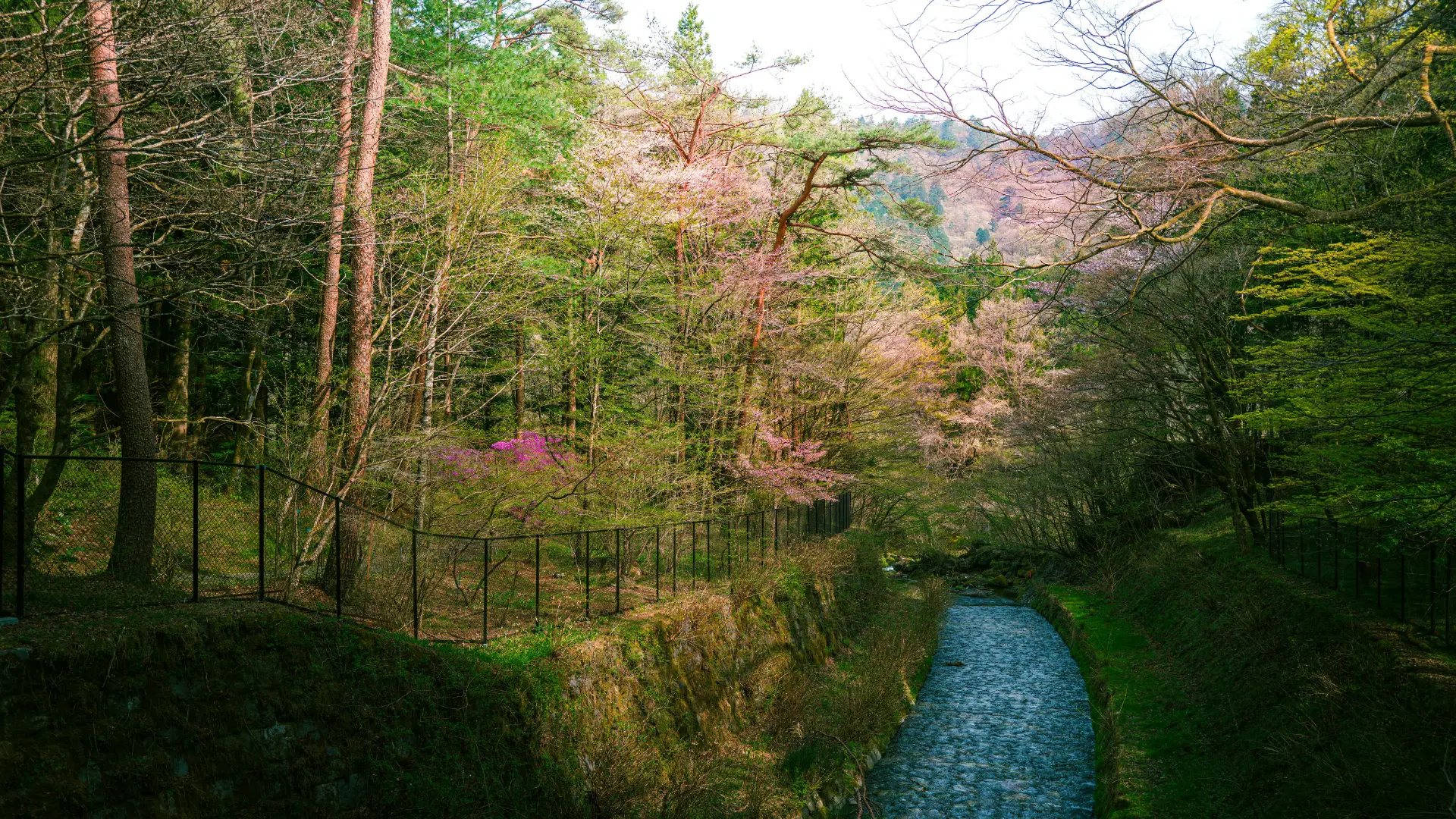 Printemps chinois 2026