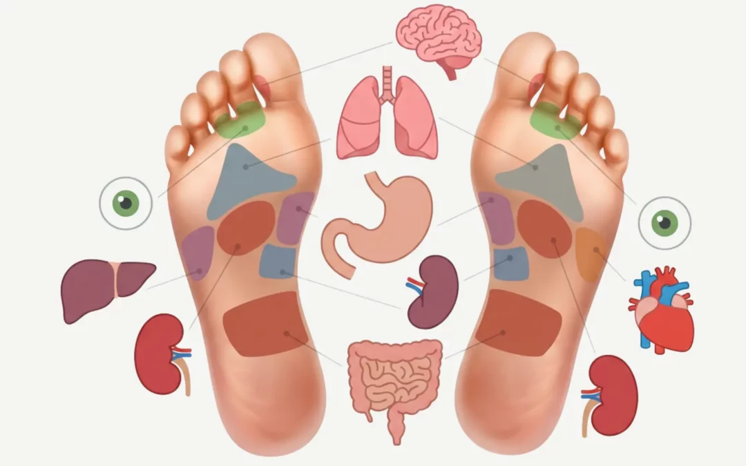 Reflexologie plantaire